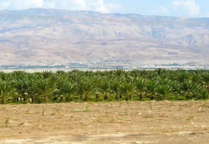 السَامِرِيَّة